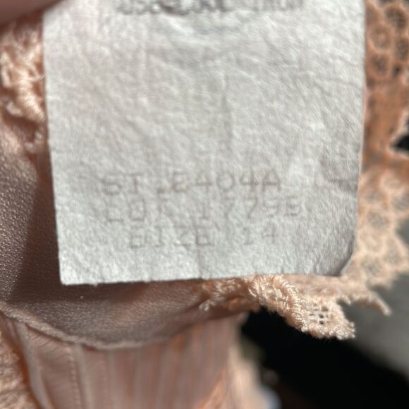 Jennifer Gee Vintage Dress - Blush Rose - Picture 15 of 16